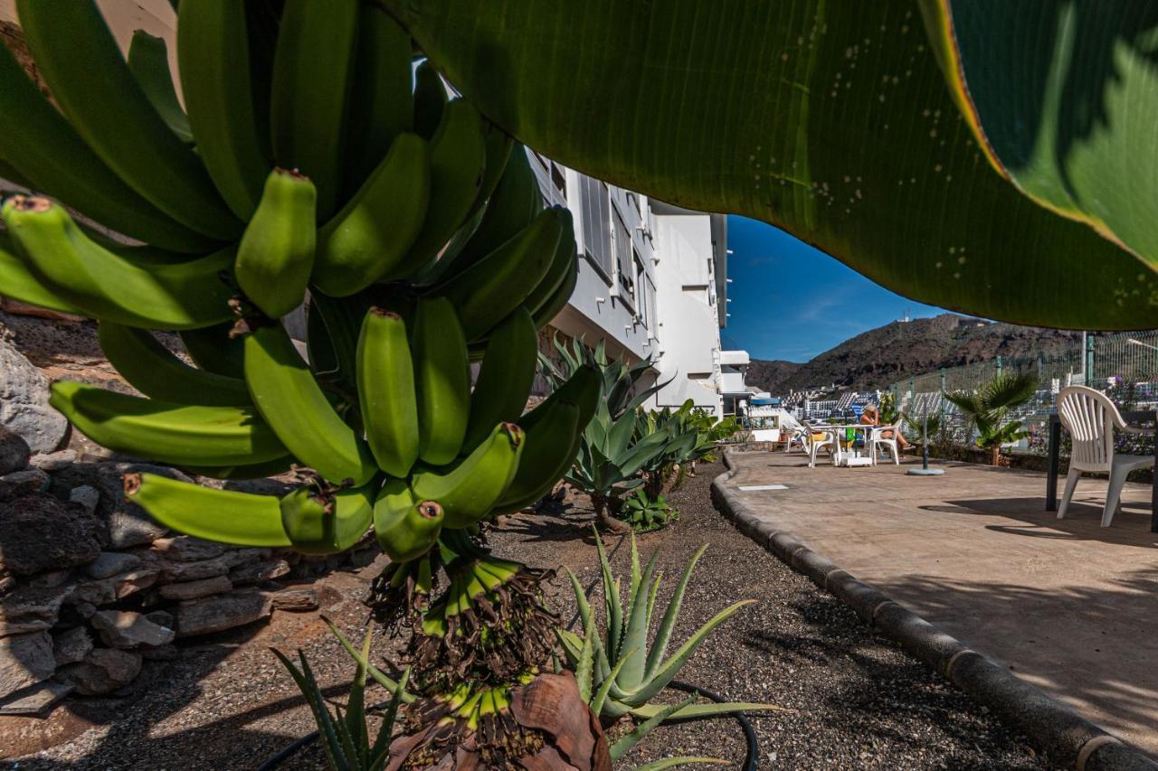 Your Happy Place Puerto Rico With Ac Exterior photo